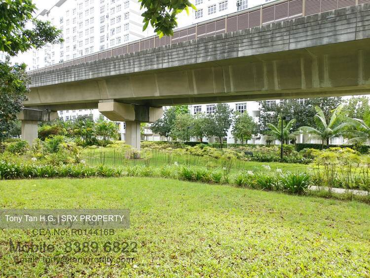 Blk 296B Compassvale Crescent (Sengkang), HDB 5 Rooms #353852691